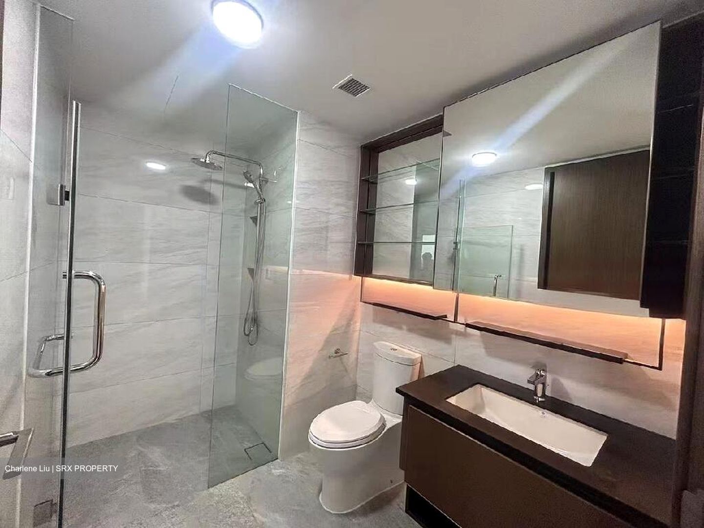 Normanton Park (D5), Apartment #451821961